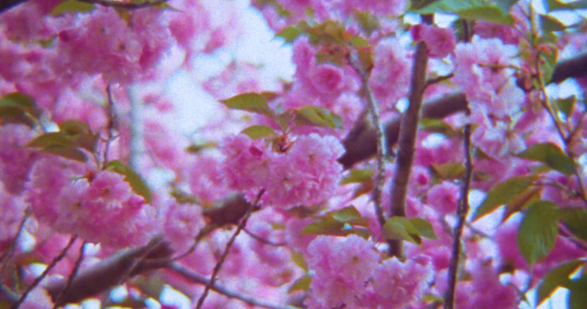 It Smells Like Springtime