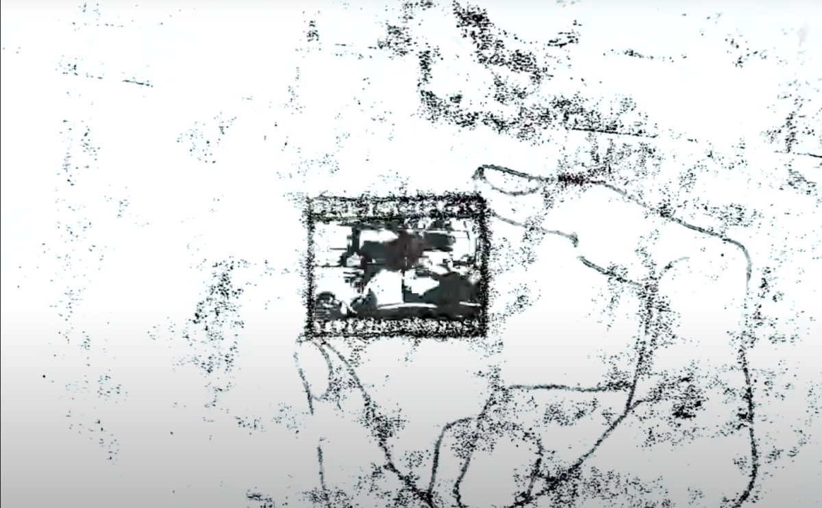 Elephant in a Haystack