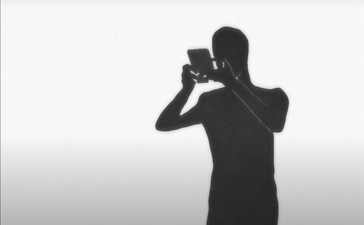 Elephant in a Haystack