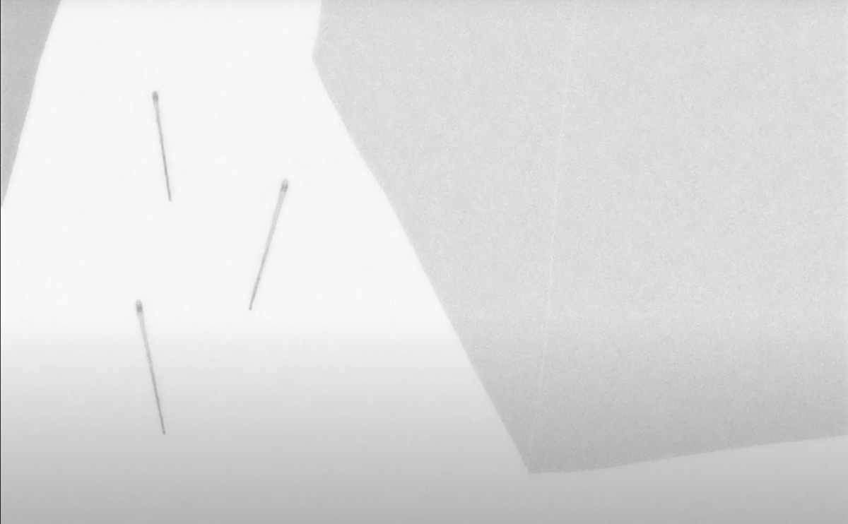 Elephant in a Haystack