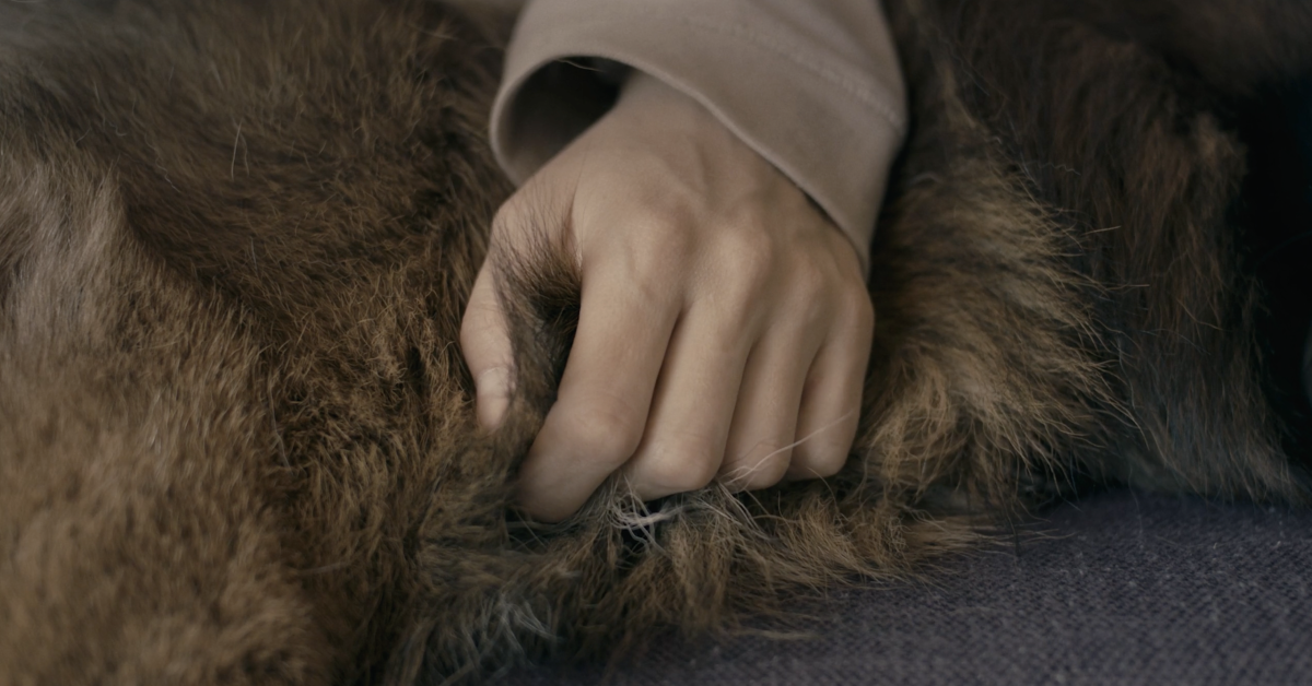 a film is a goodbye that never ends