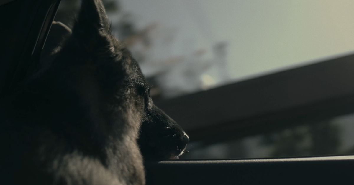 a film is a goodbye that never ends