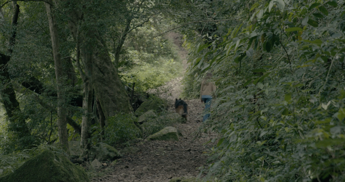 a film is a goodbye that never ends