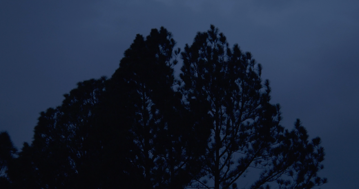 a film is a goodbye that never ends