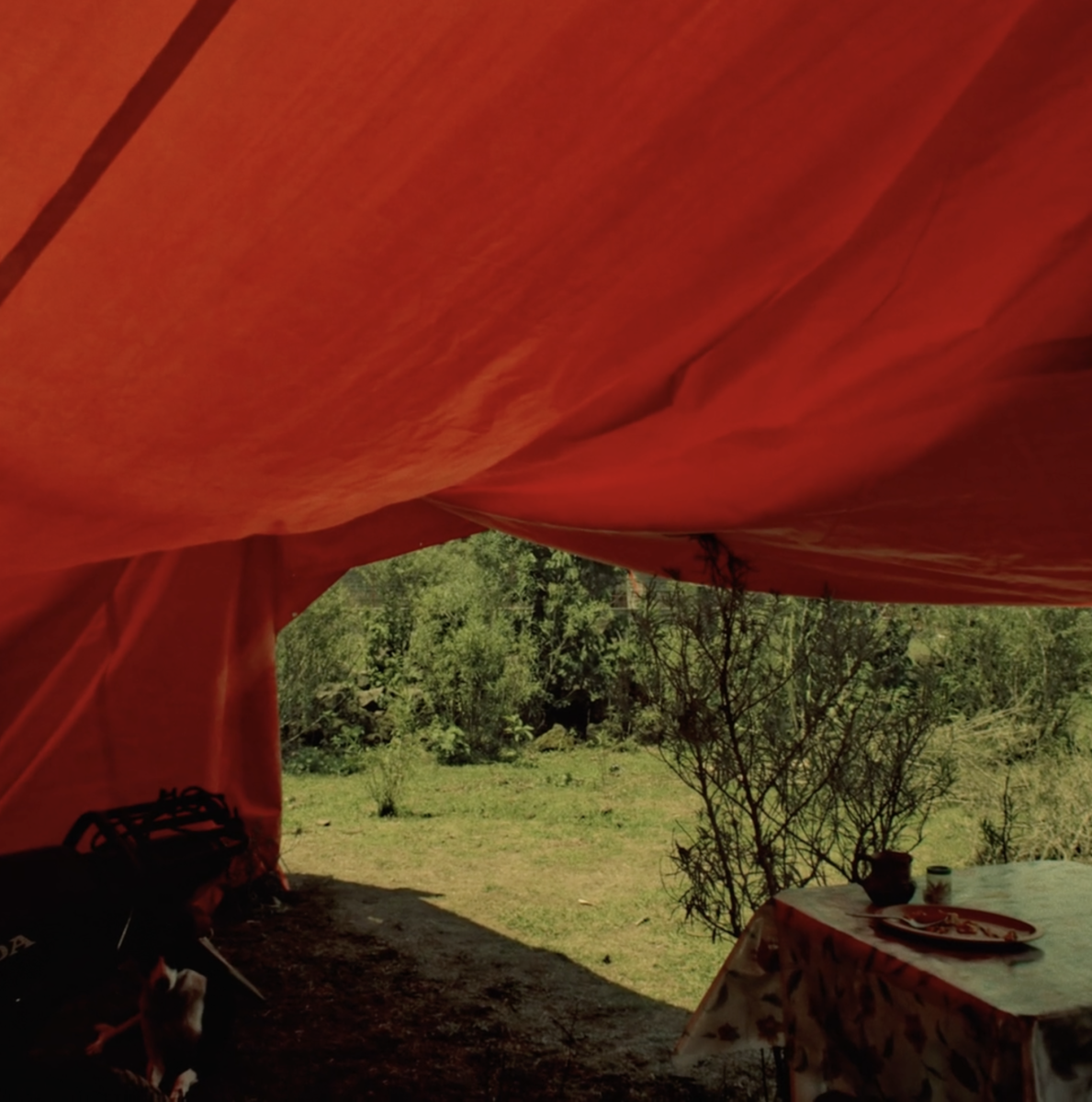 Motorcyclist's happiness wont fit into his suit