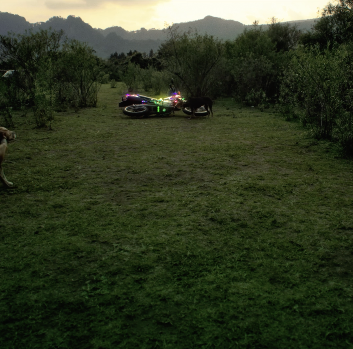 Motorcyclist's happiness wont fit into his suit