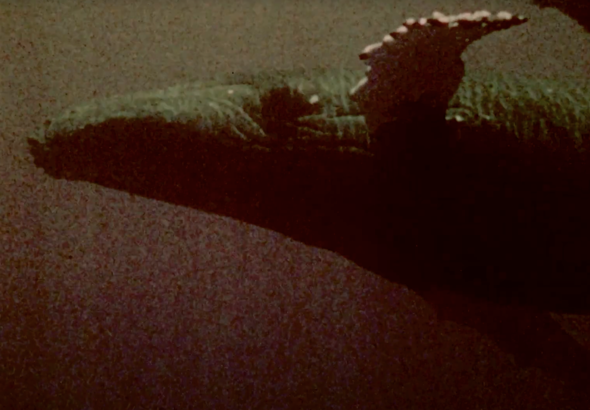 John Lilly and the Earth Coincidence Control Office