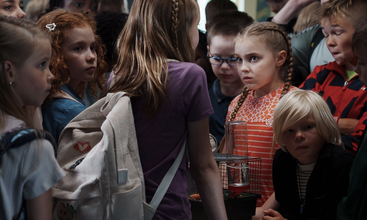 Super Furball and the Lying Squirrel