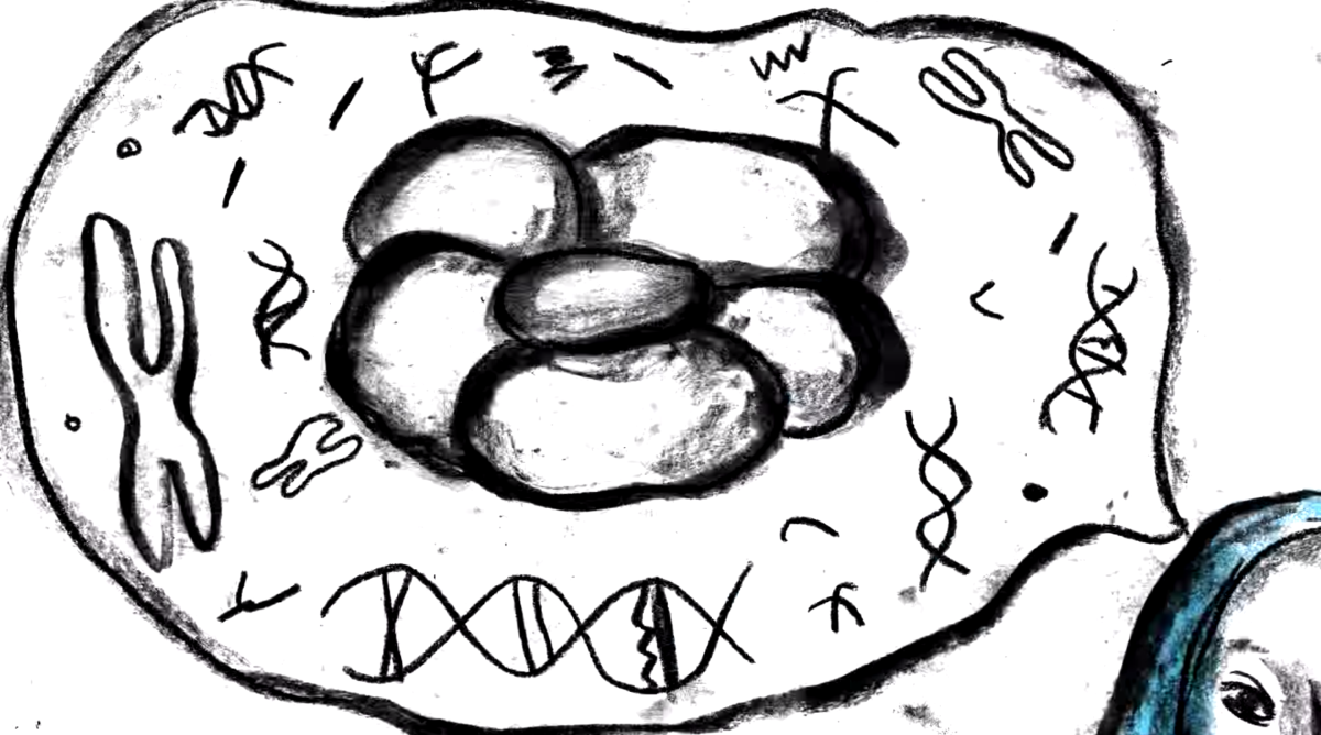 Calling for the light