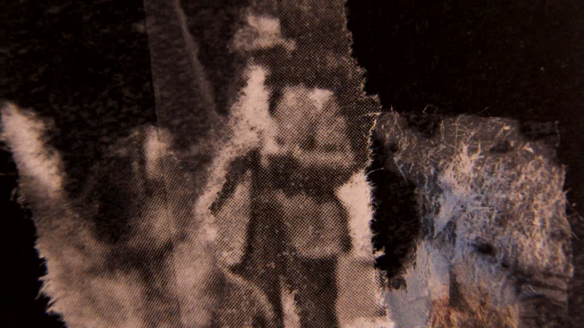 Tulipomania: (This Gilded Age) So What Are You Looking At?