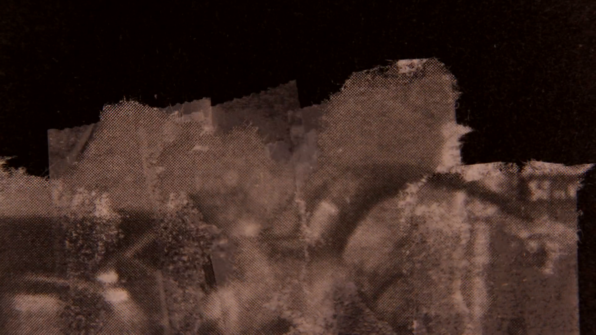 Tulipomania: (This Gilded Age) So What Are You Looking At?