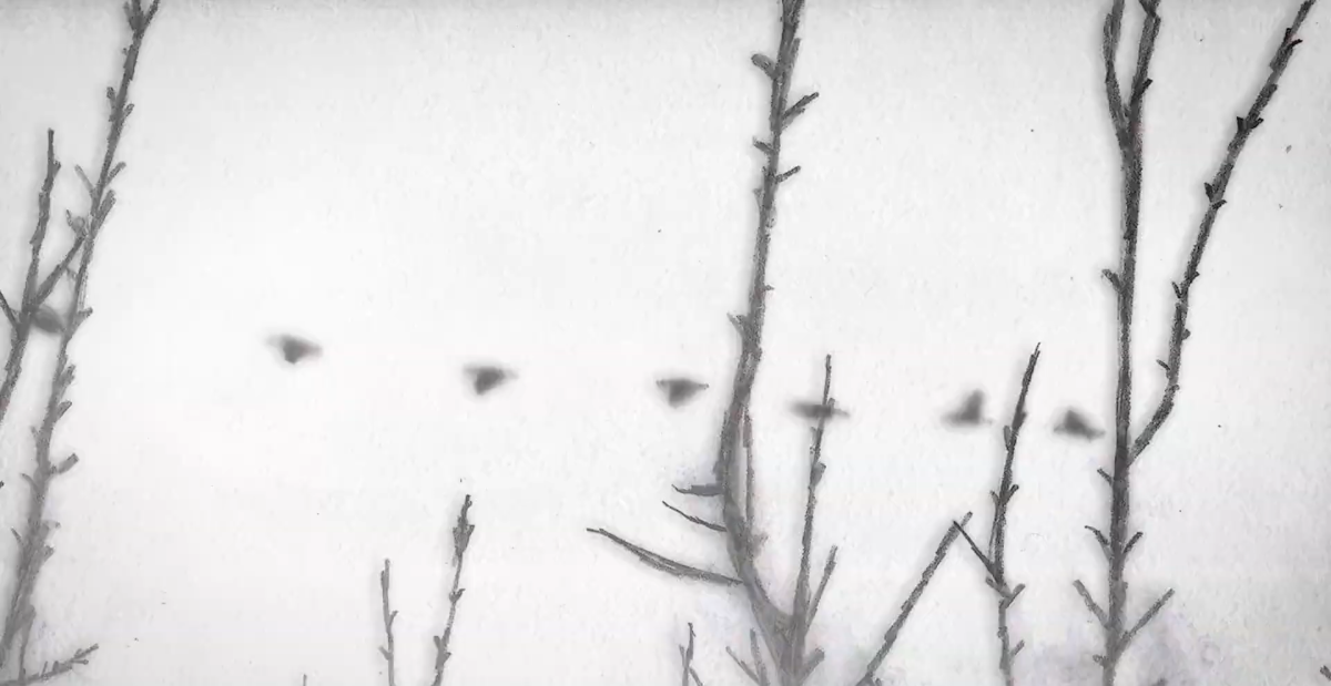 Grey is the Color of Hope 