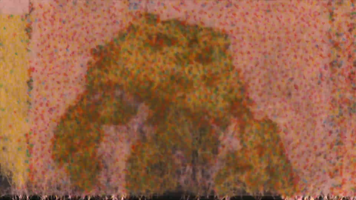 Tulipomania: Shines On