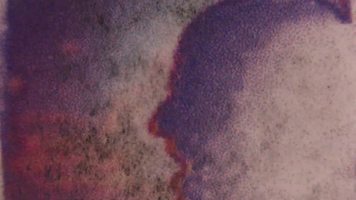 Tulipomania: Shines On