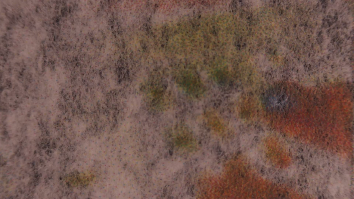 Tulipomania: Shines On