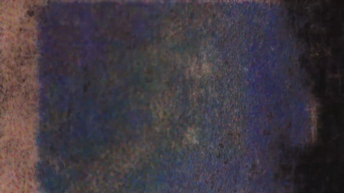 Tulipomania: Shines On