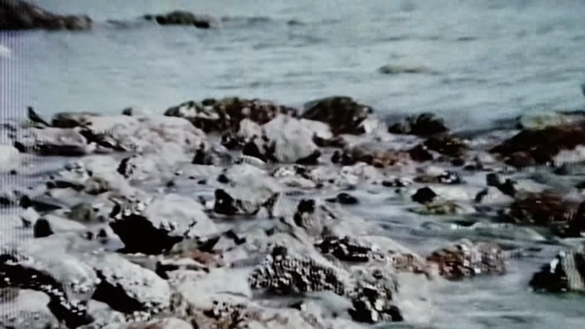 Aboriginal Metaphysical