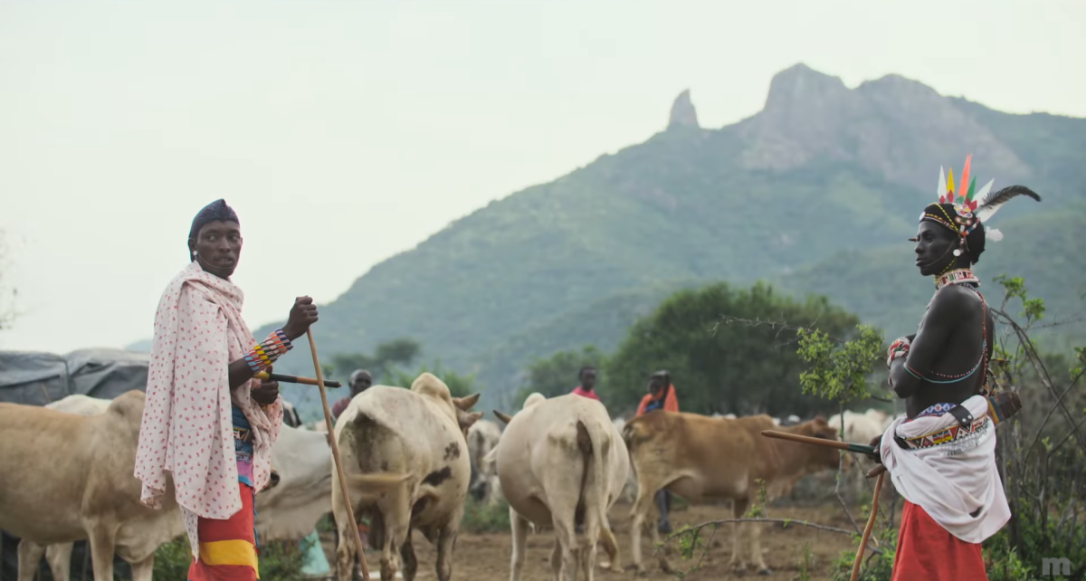 The Battle for Laikipia