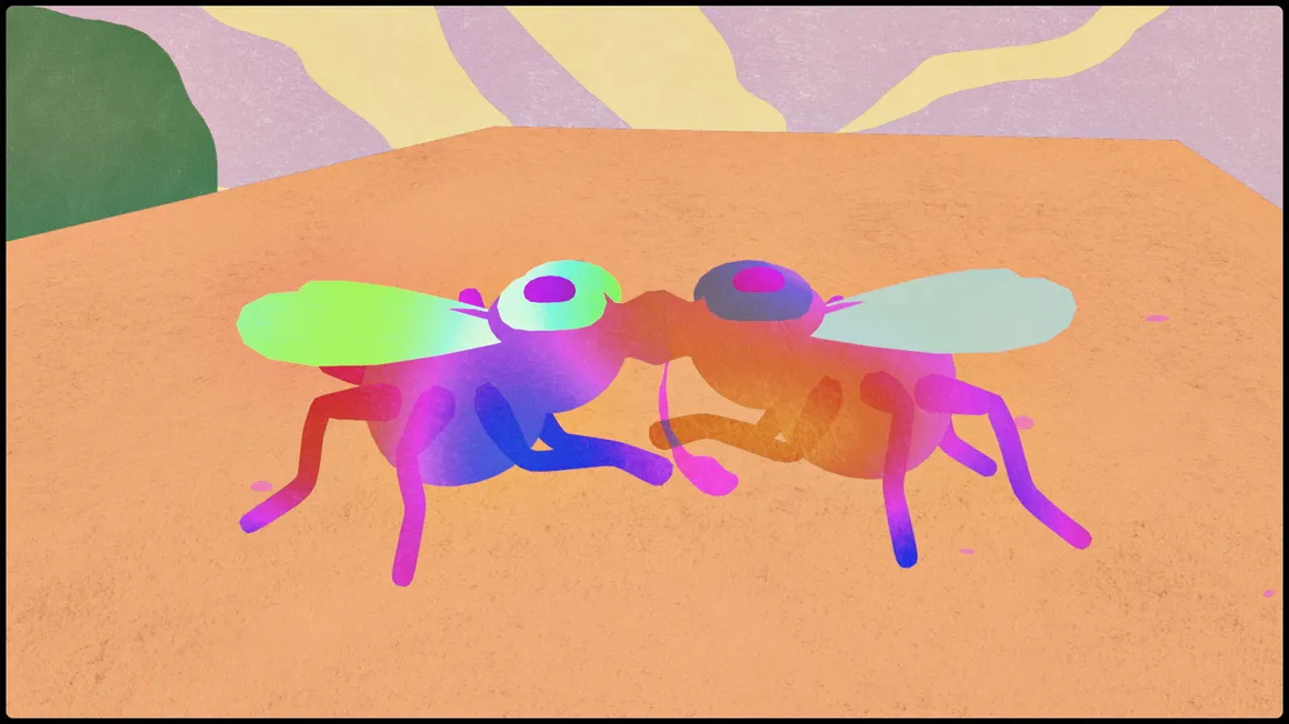 14th Anibar Animation Festival "Trailer: Love"