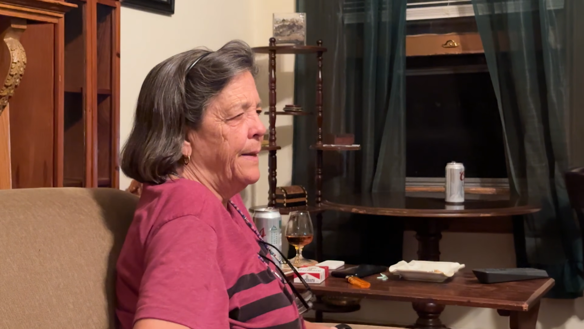 Application To Be Lars Von Trier's "Female Girlfriend/Muse"