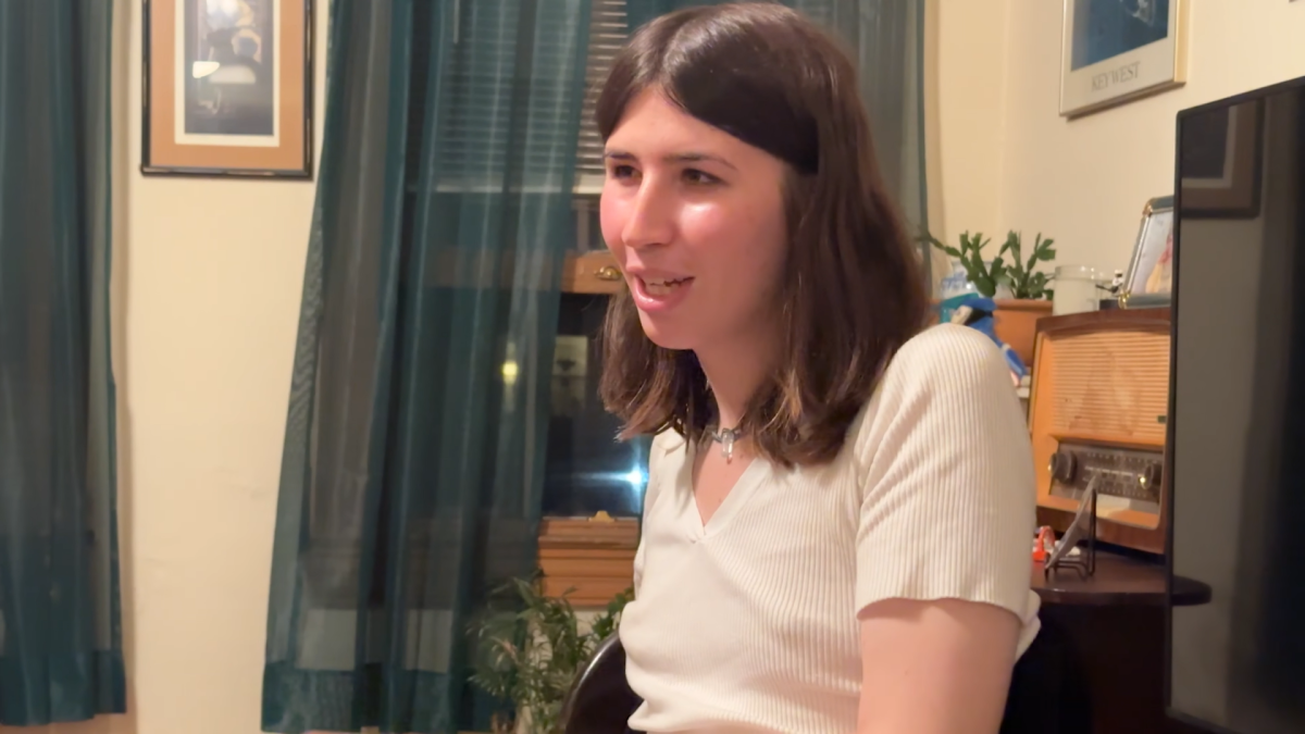 Application To Be Lars Von Trier's "Female Girlfriend/Muse"