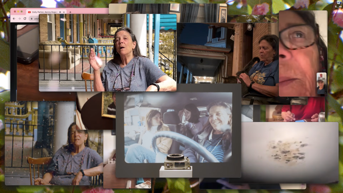 Application To Be Lars Von Trier's "Female Girlfriend/Muse"