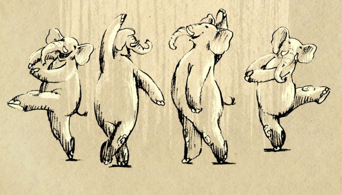 A holiday for elephants