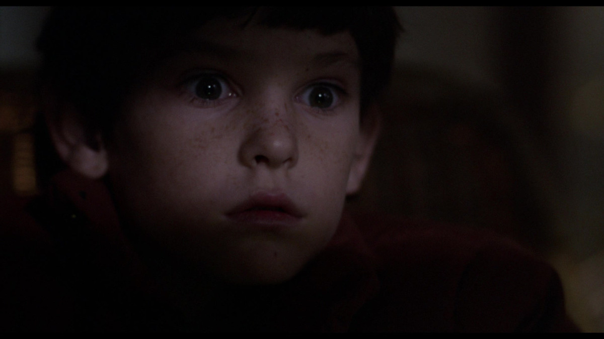 E.T. the Extra-Terrestrial