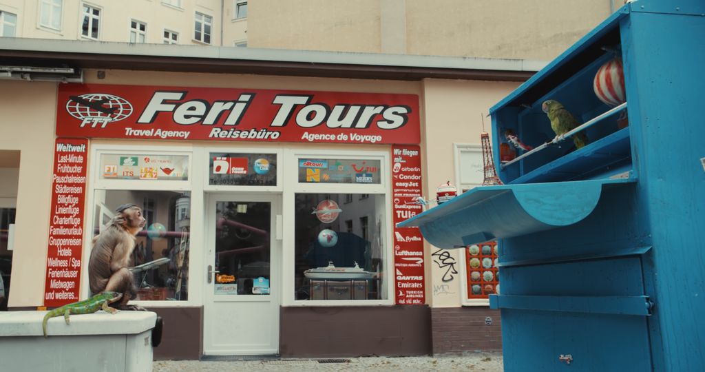 Akiko, the Flying Monkey