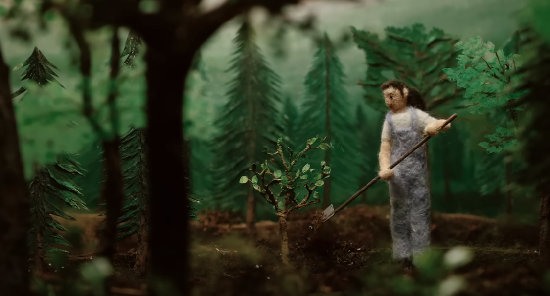 Does Planting Trees Actually Cool the Planet?