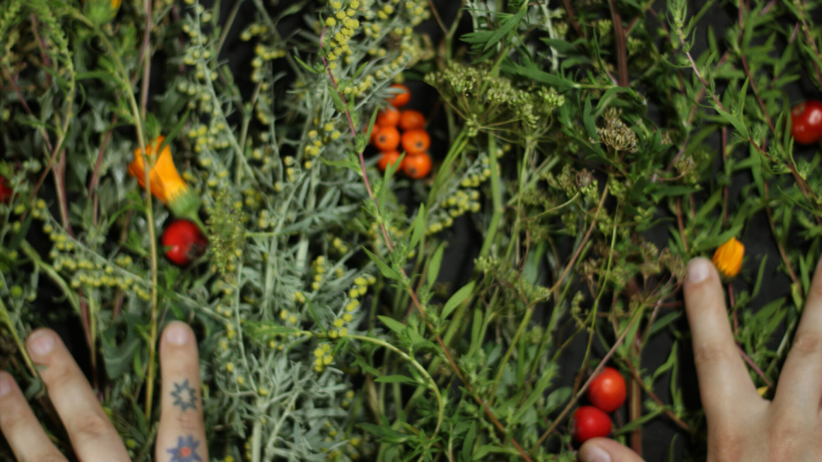 How to make a delicious tea?