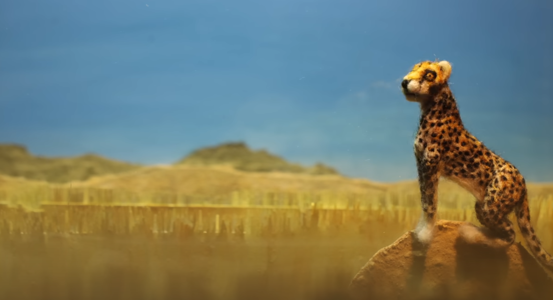 Does Planting Trees Actually Cool the Planet?