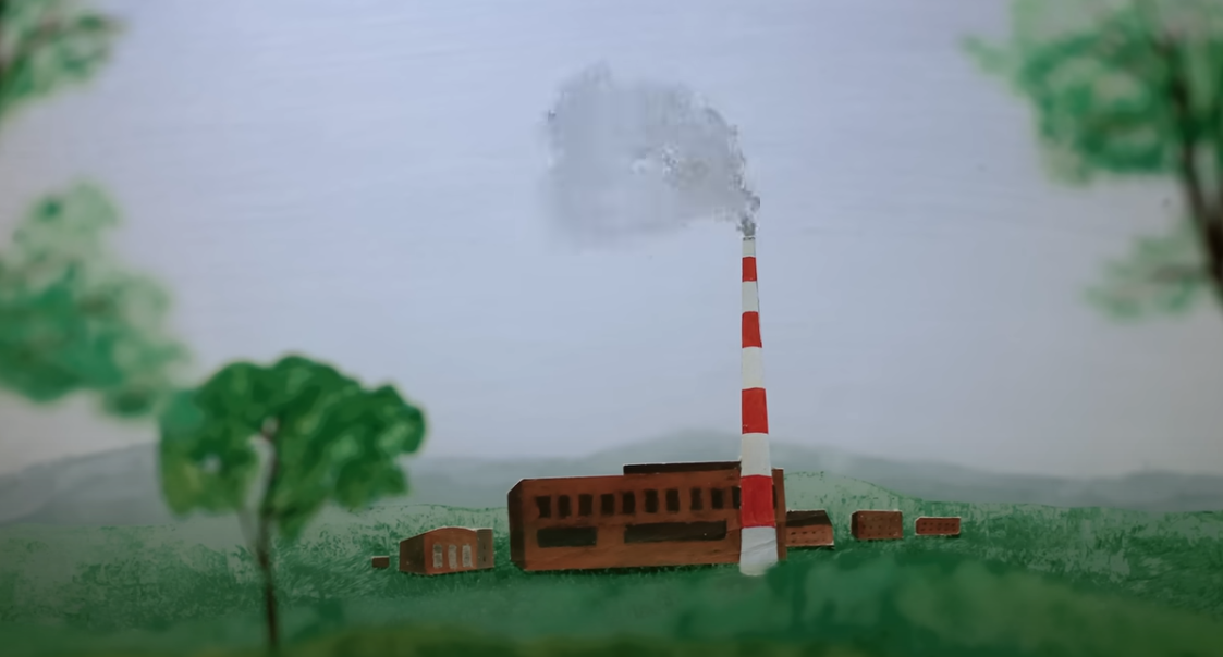 Does Planting Trees Actually Cool the Planet?