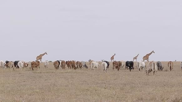 The Battle for Laikipia