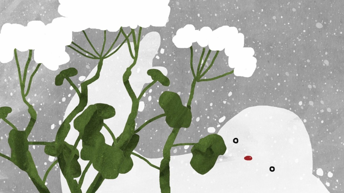 Snow is Falling (Снег идёт)