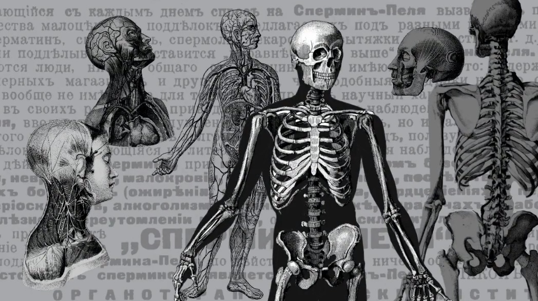 Aesculapius Of The Revolution