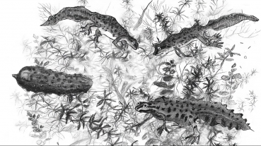 Pavel Nazim. The engineering graphics