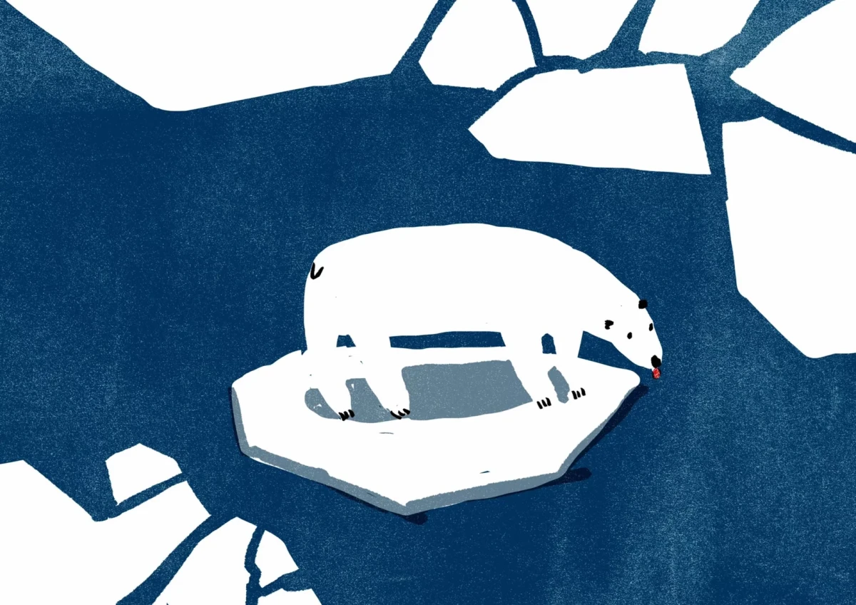 History of Arctic and Antarctic Exploration