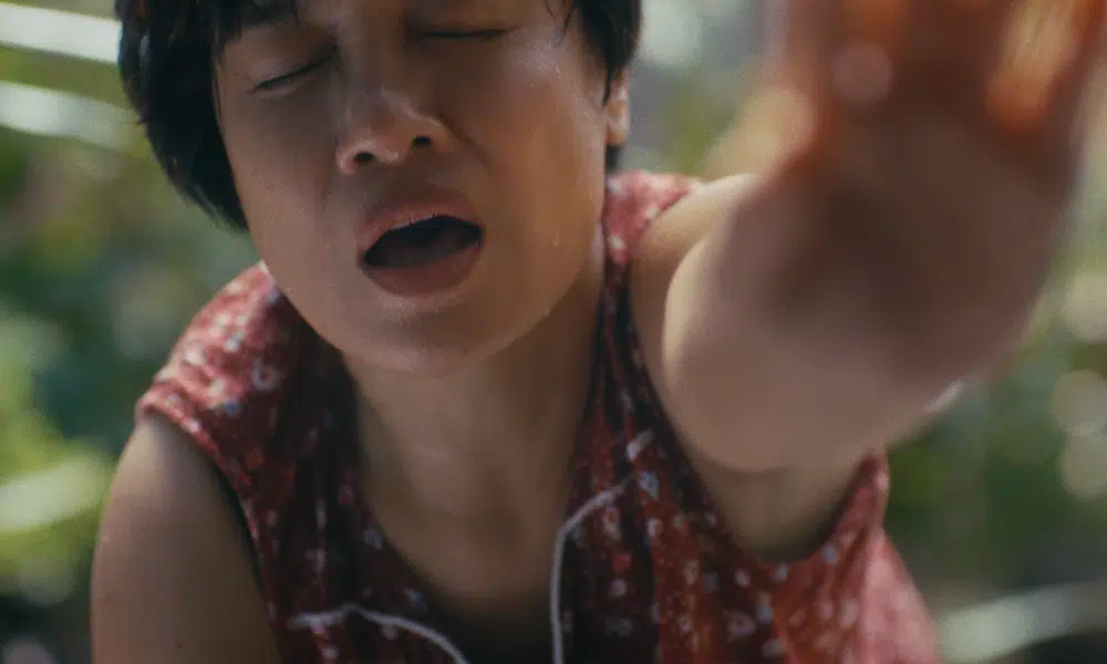 Don't Cry, Butterfly