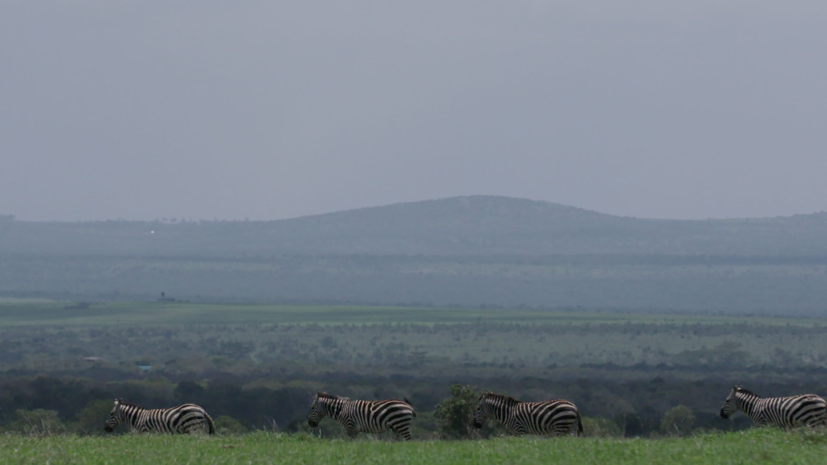 The Battle for Laikipia