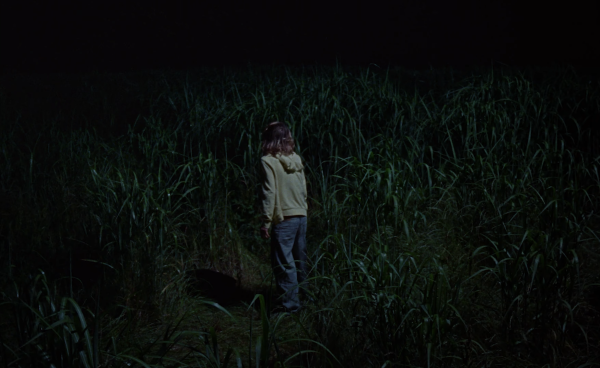 Familiar by Marco Novoa