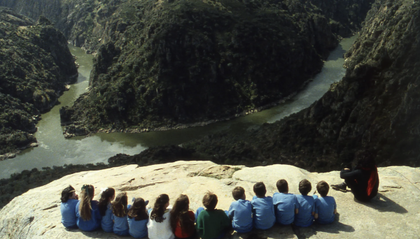 Desert Rose by Margarida Cordeiro, António Reis
