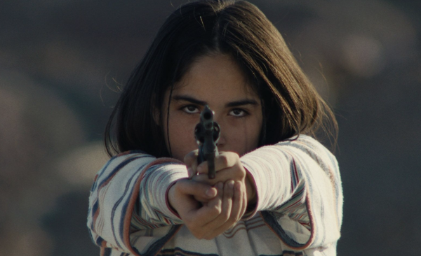 The Mysterious Gaze of the Flamingo by Diego Céspedes