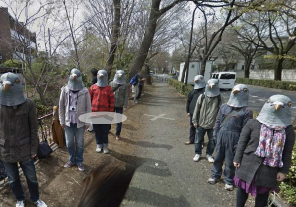 Accidental Animals by Leila Fatima Keita