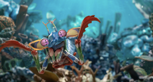 9 Million Colors by Bára Anna Stejskalová