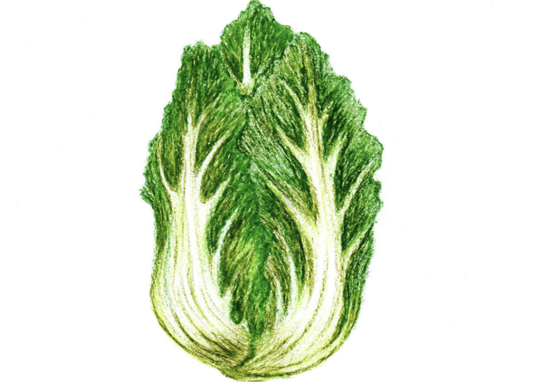 Cabbage Daddy by Grace An