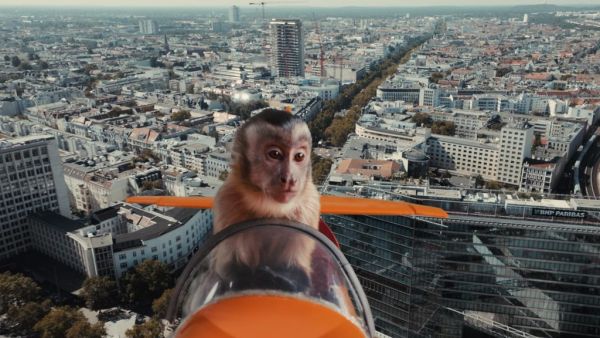 Akiko, the Flying Monkey by Veit Helmer