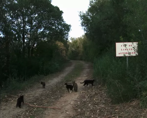 In the Open by Guillaume Massart