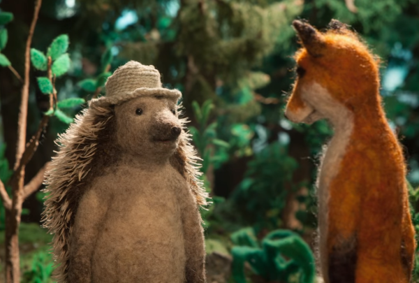 Hedgehog's Home by Eva Cvijanovic