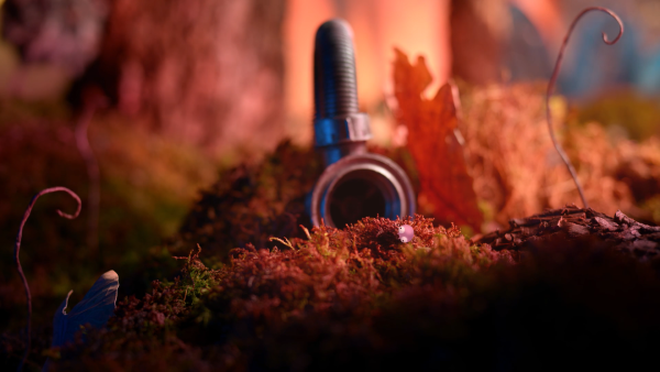 The Natural Order Of Things by Luce Grosjean